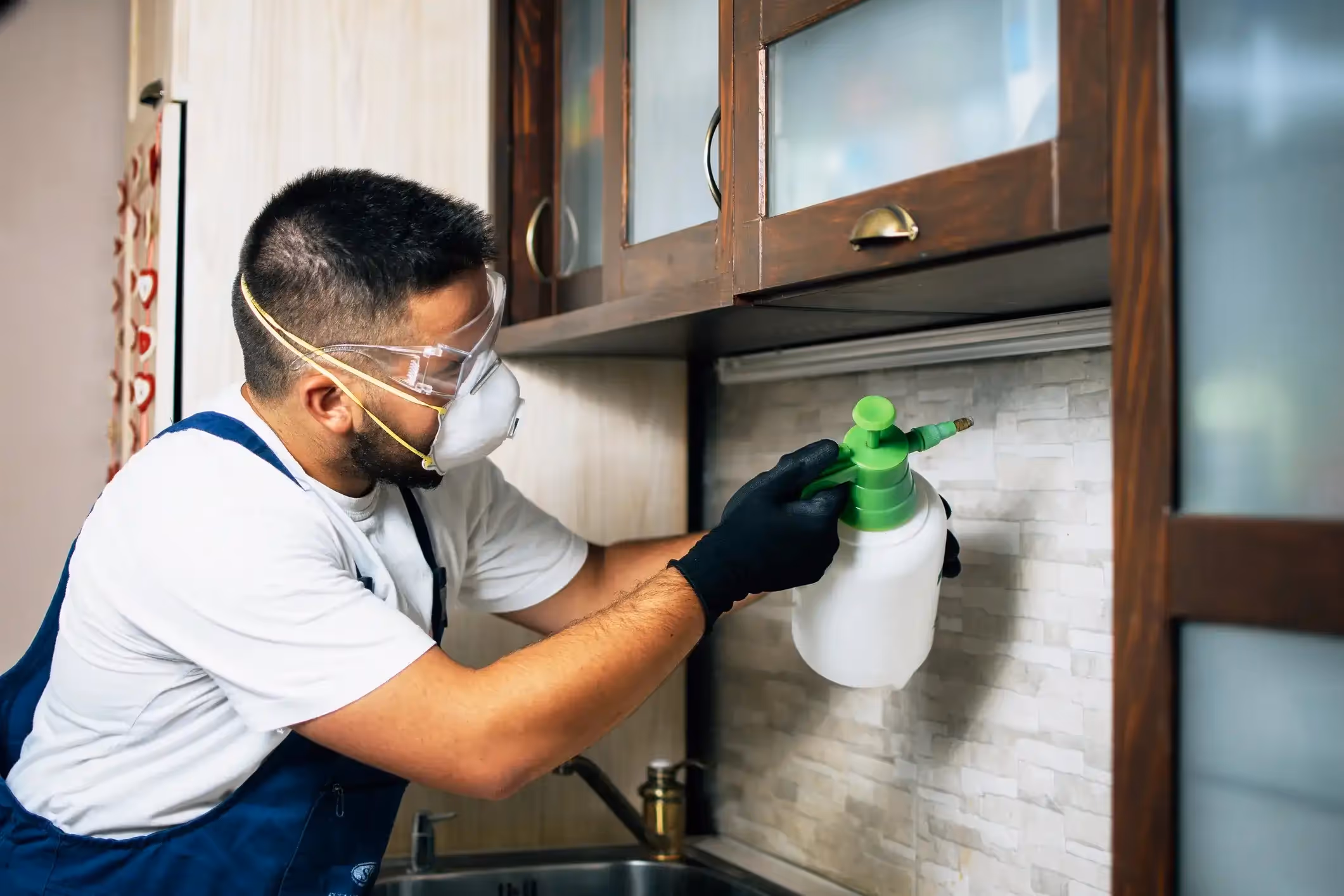 Pest Control in Burke, TX