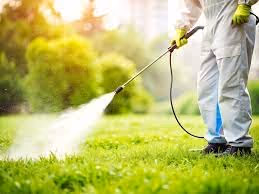 Mosquito Pest Control in Nacogdoches, TX