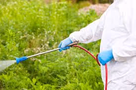 Pest Control in Alco, TX