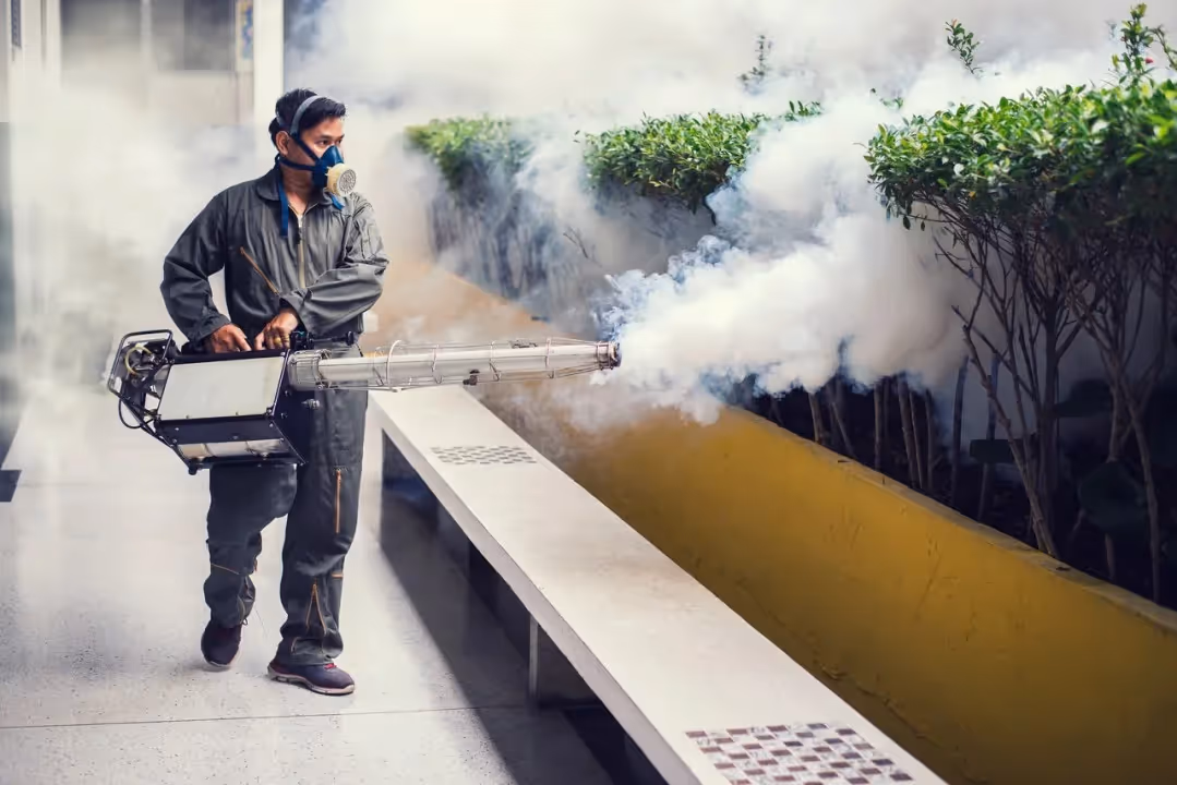 A person fogging for pests outdoors.