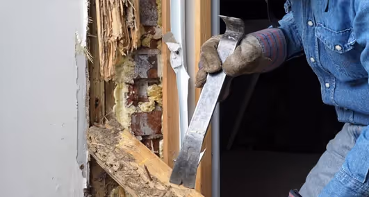 Termite Treatment in Nacogdoches, TX