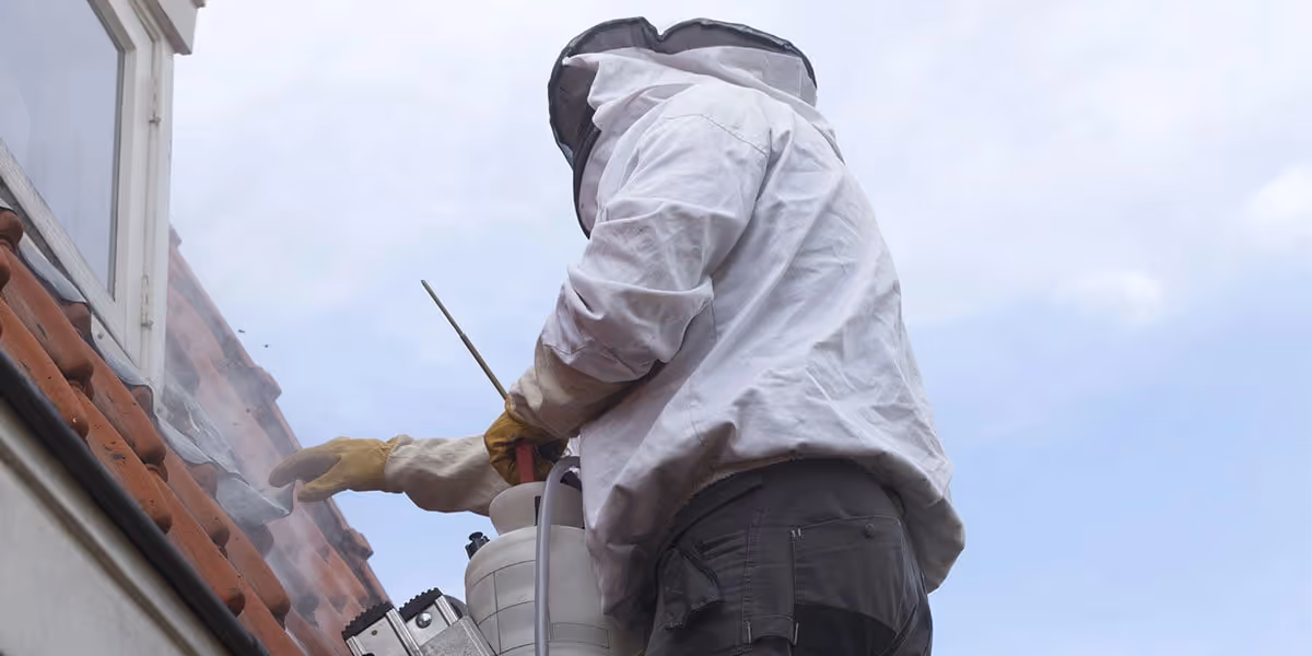 A pest control professional removing a wasp nest.