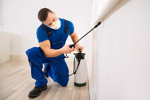Exterminator in Nacogdoches, TX