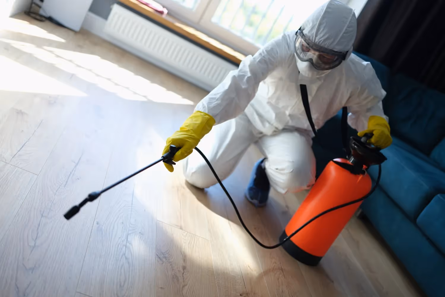 A pest control worker wearing a white hazmat suit and yellow gloves kneels to spray the wooden floor of a home.