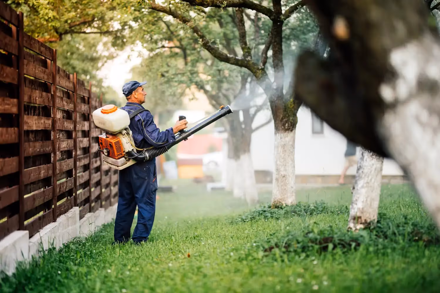 Exterminator in Diboll, TX