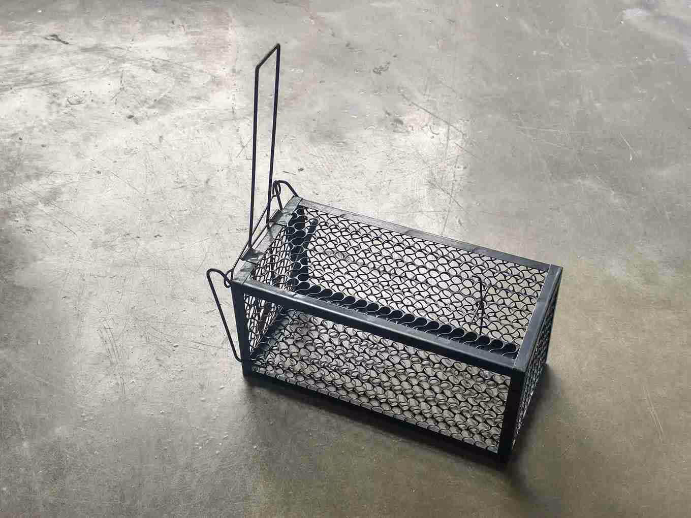 A view from above a wire cage rat trap with an open door, set on a gray concrete floor.