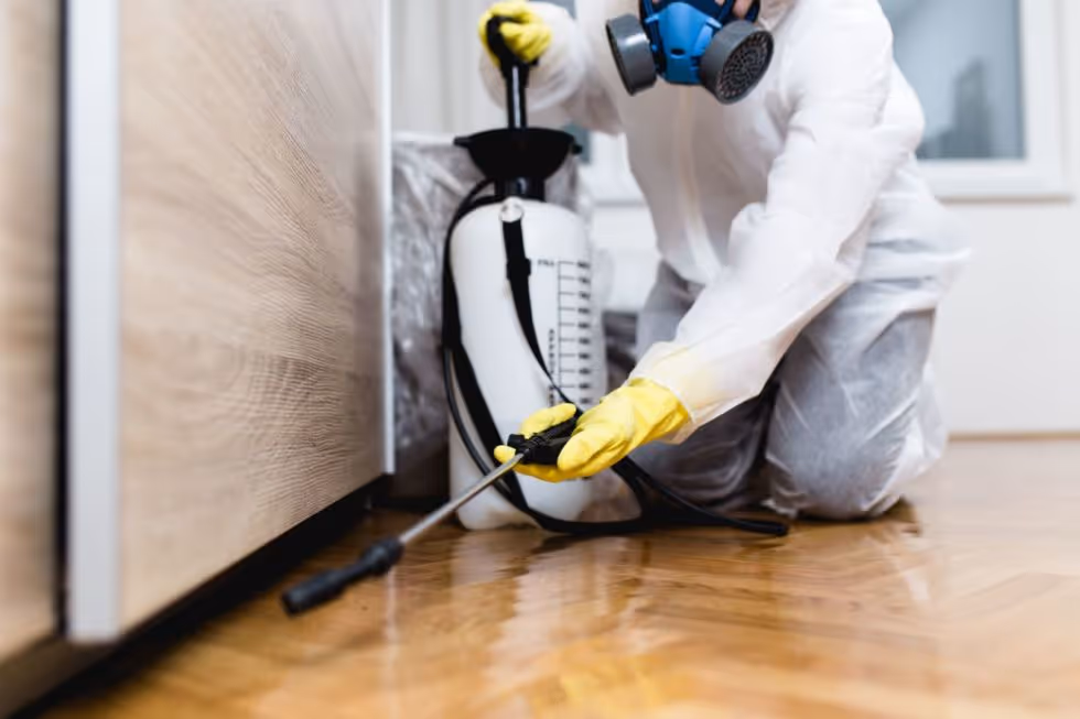 Pest Control Company in Nacogdoches, TX