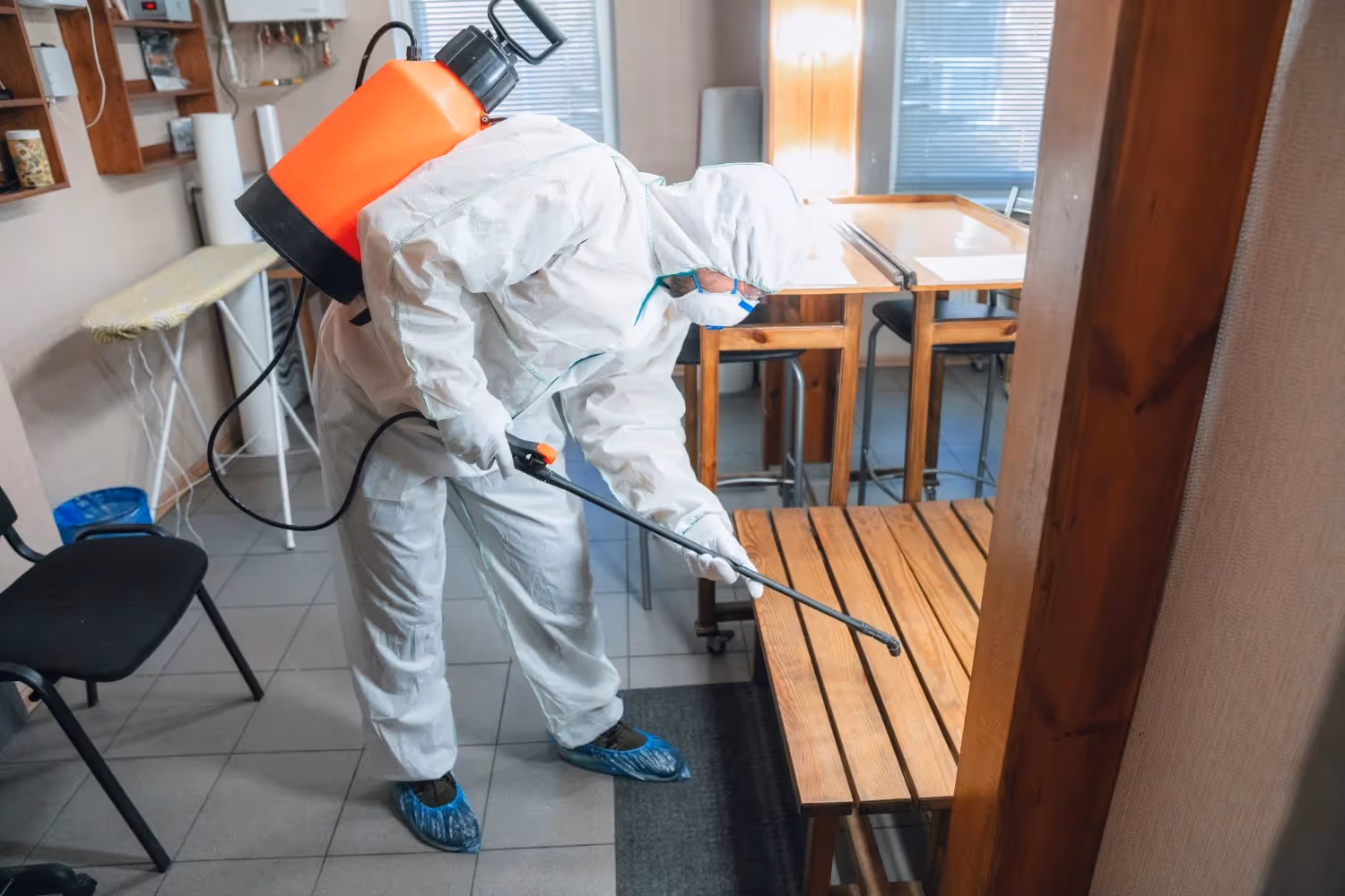 Pest Control Services in Trinity, TX