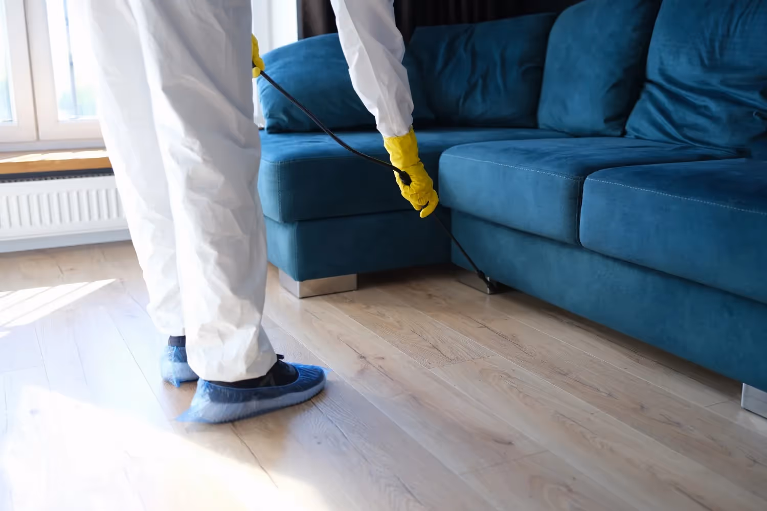 Cockroach Exterminator in Goodrich, TX