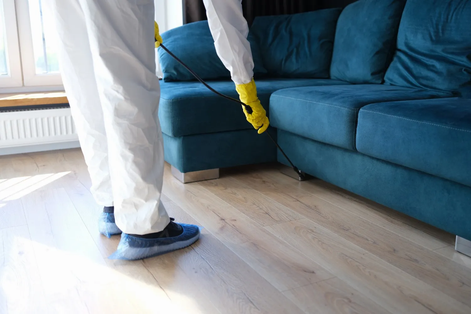 A pest control professional in a white hazmat suit sprays under a blue couch.