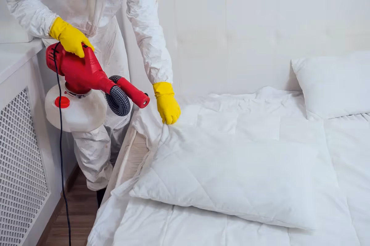 A man spraying a bed for bed bugs.