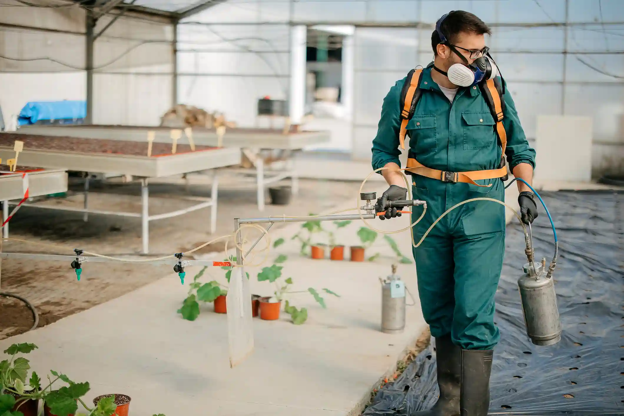 A pest control professional, wearing a gray uniform, crouches on the floor. They are holding a long, curved spray nozzle. A red hose is connected to the sprayer, which leads to a tank on the floor. The setting is a room with a concrete wall and a tiled floor, with small brown pellets scattered on the ground. A man in a green jumpsuit, black boots, and a respirator mask with goggles walks through a greenhouse. He has a sprayer tank strapped to his back with orange straps and holds a handheld sprayer in his right hand. The greenhouse contains rows of plants in pots on the floor and on elevated tables.