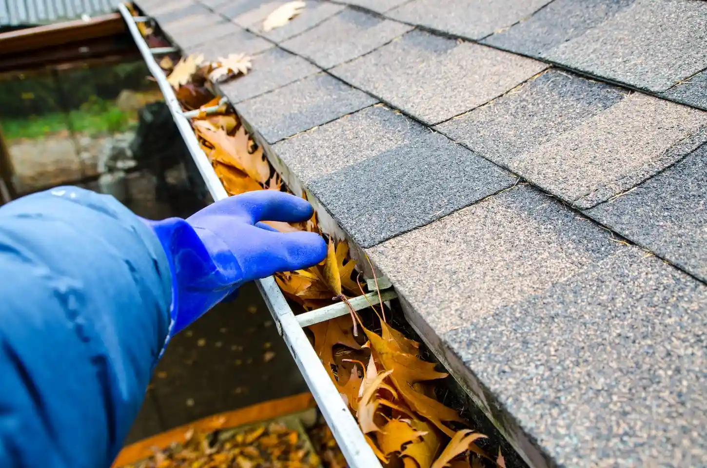 A person wearing a blue glove reaches into a gutter filled with dry autumn leaves.