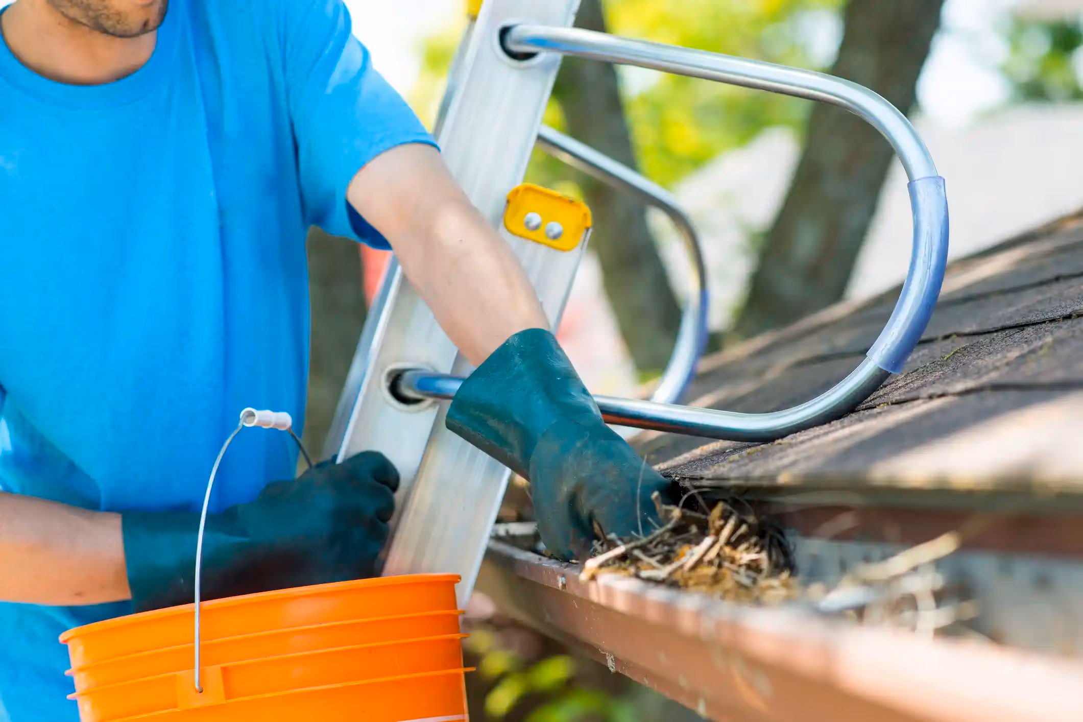 A person in a blue t-shirt and dark green gloves is standing on a ladder and cleaning a gutter. One hand is holding an orange bucket, and the other is reaching into the gutter to remove a bird's nest and other debris. The roof shingles and green trees are visible in the background.