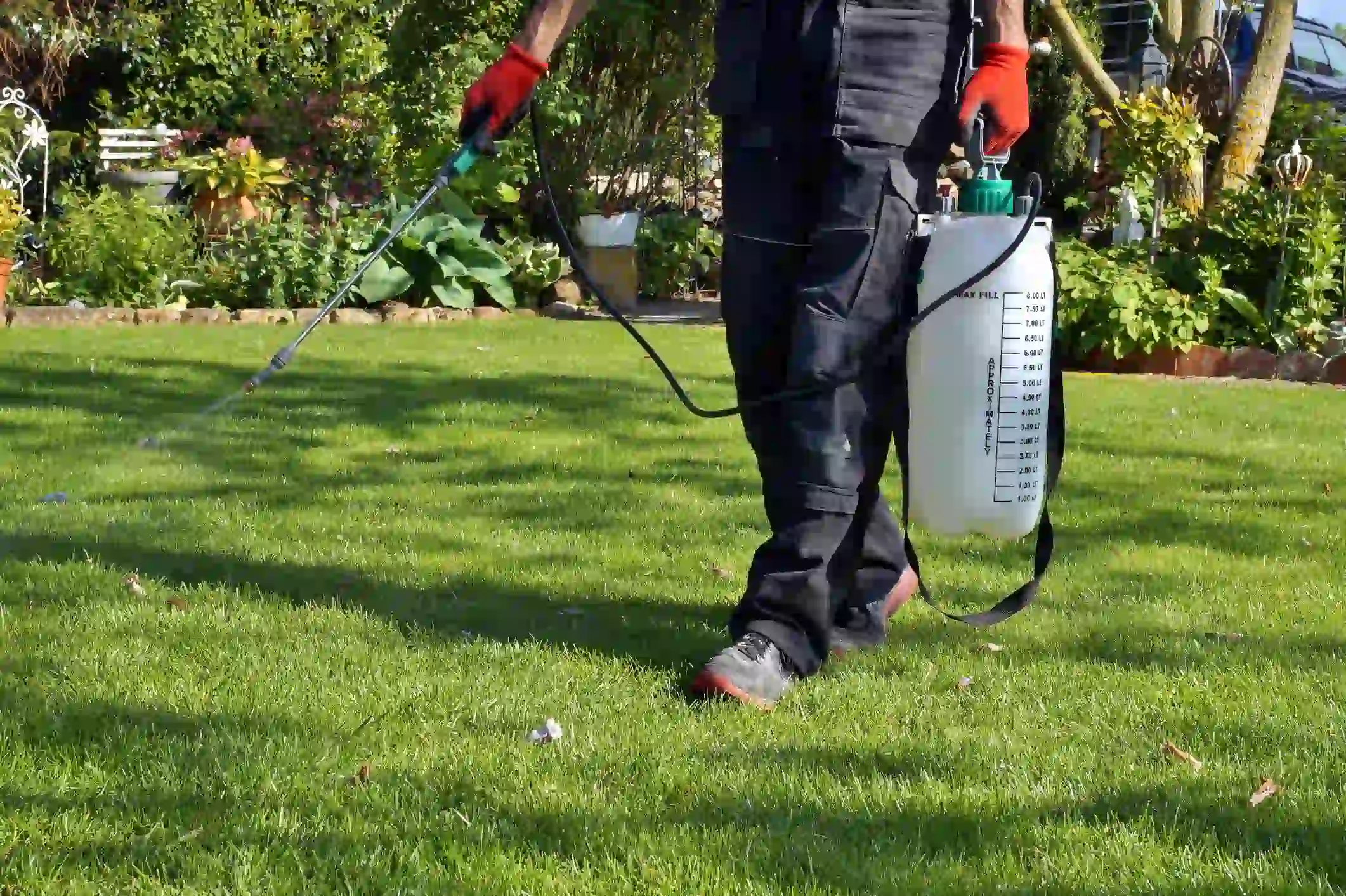 Flea Control For Yard in Huntington, TX