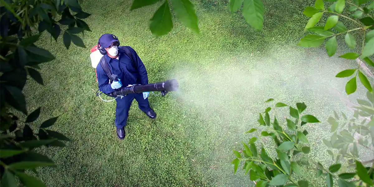 A man with a backpack sprayer.
