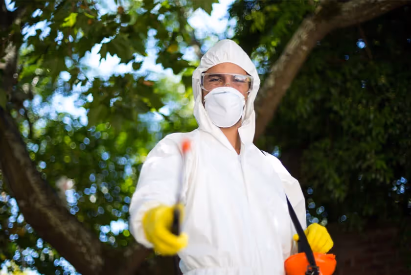 Pest Control Company in Alco, TX