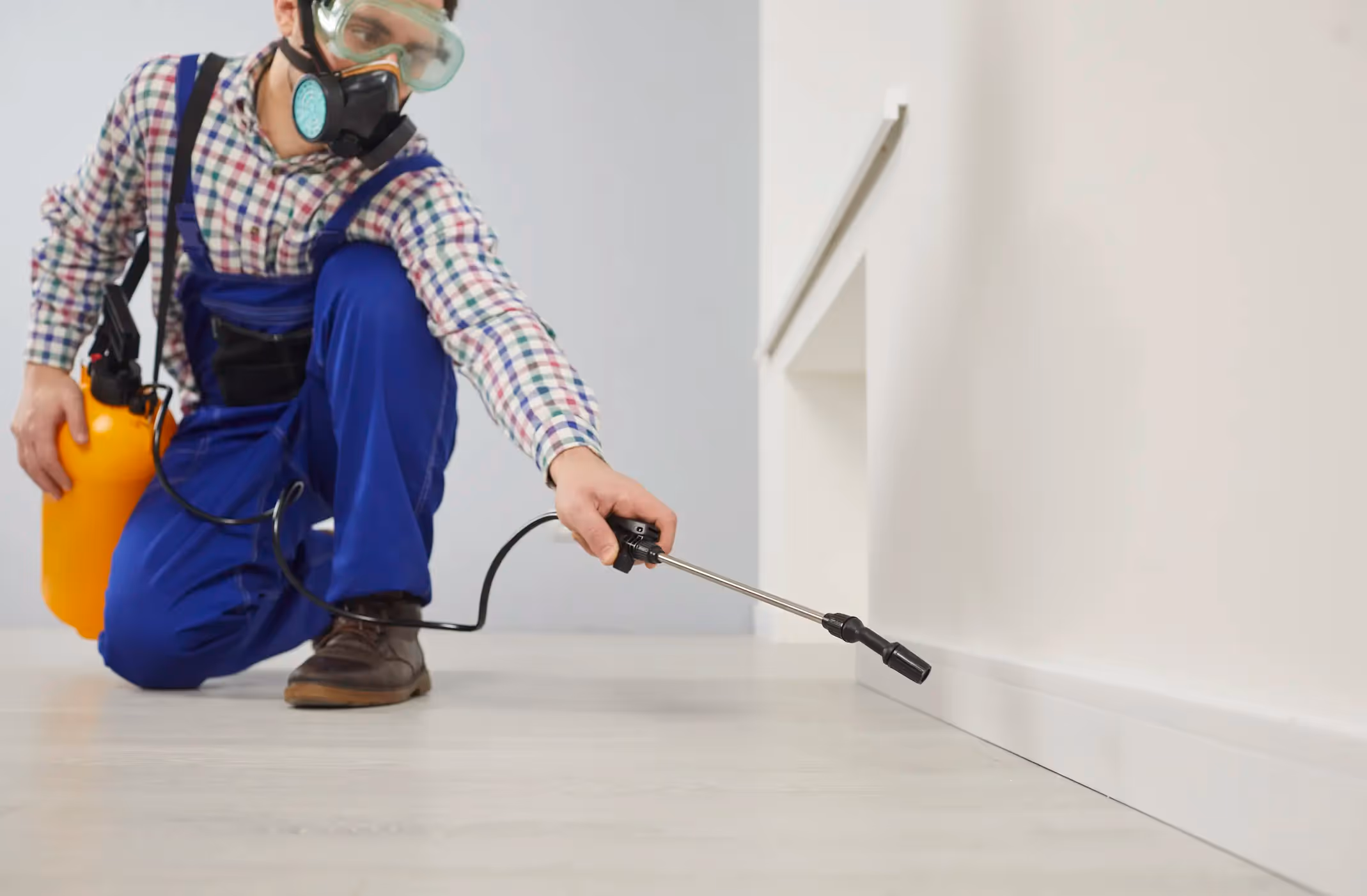 Pest Control in Huntington, TX