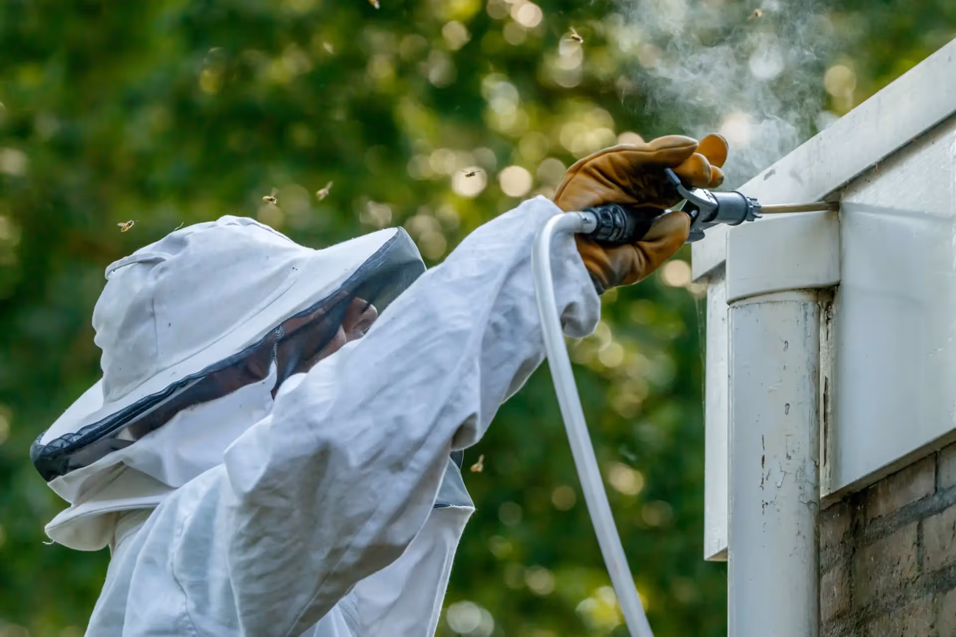 A beekeeper spraying for bees.