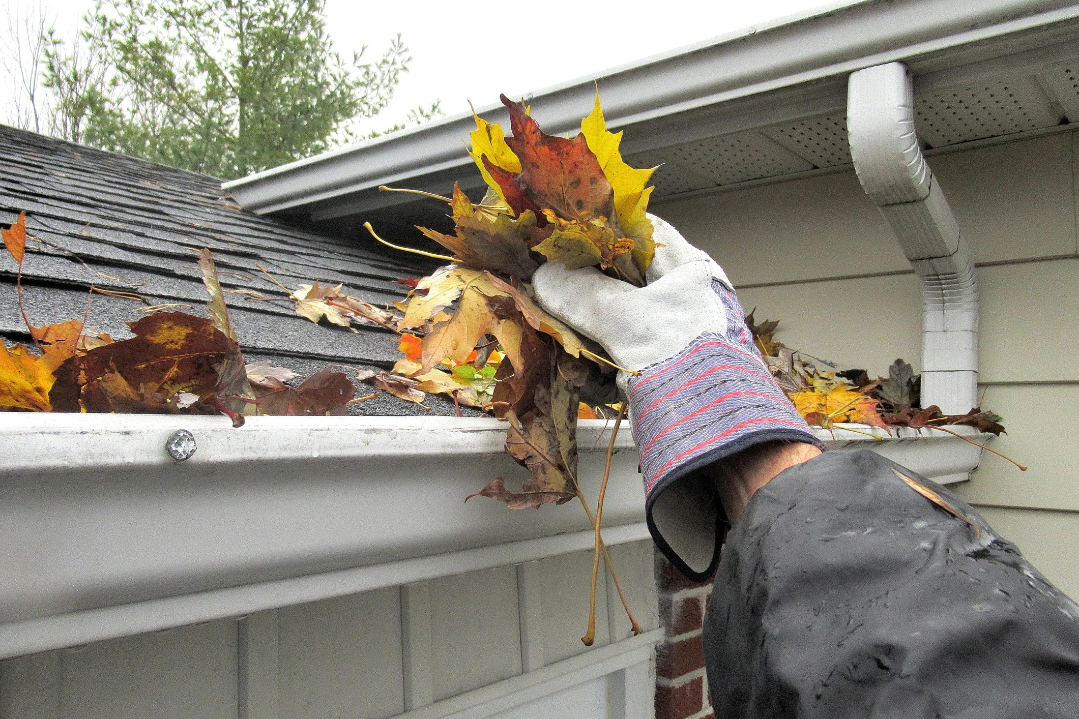 Gutter Cleaning in Redland, TX