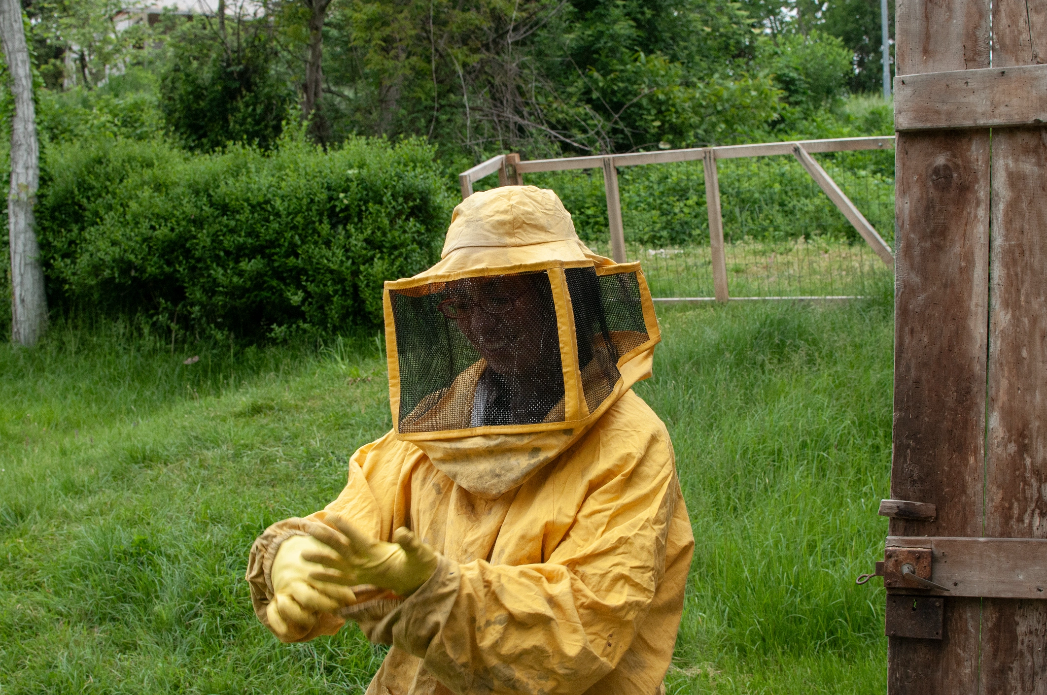 Wasp Nest Removal in Redland, TX