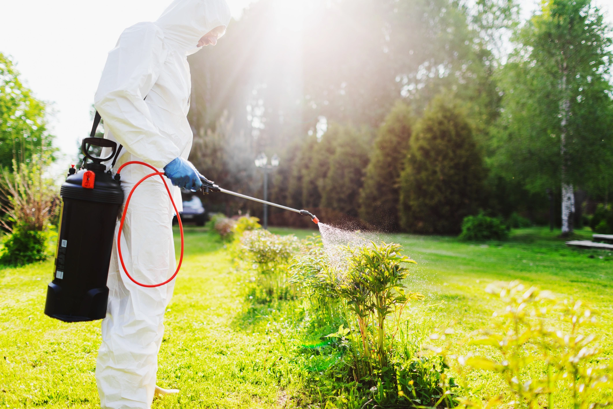 Flea Control For Yard in Shady Grove, TX