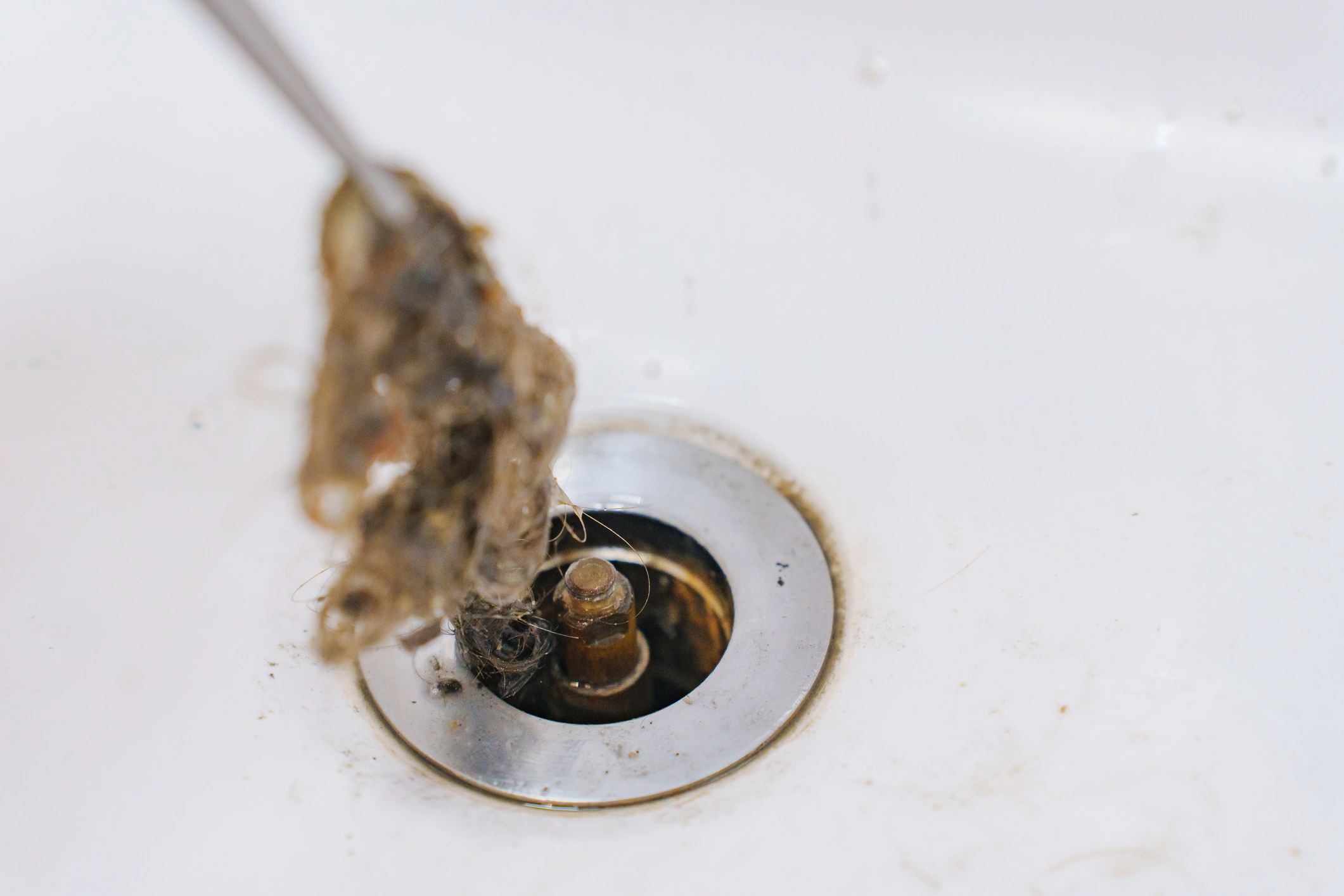 Drain Fly Removal in Central, TX