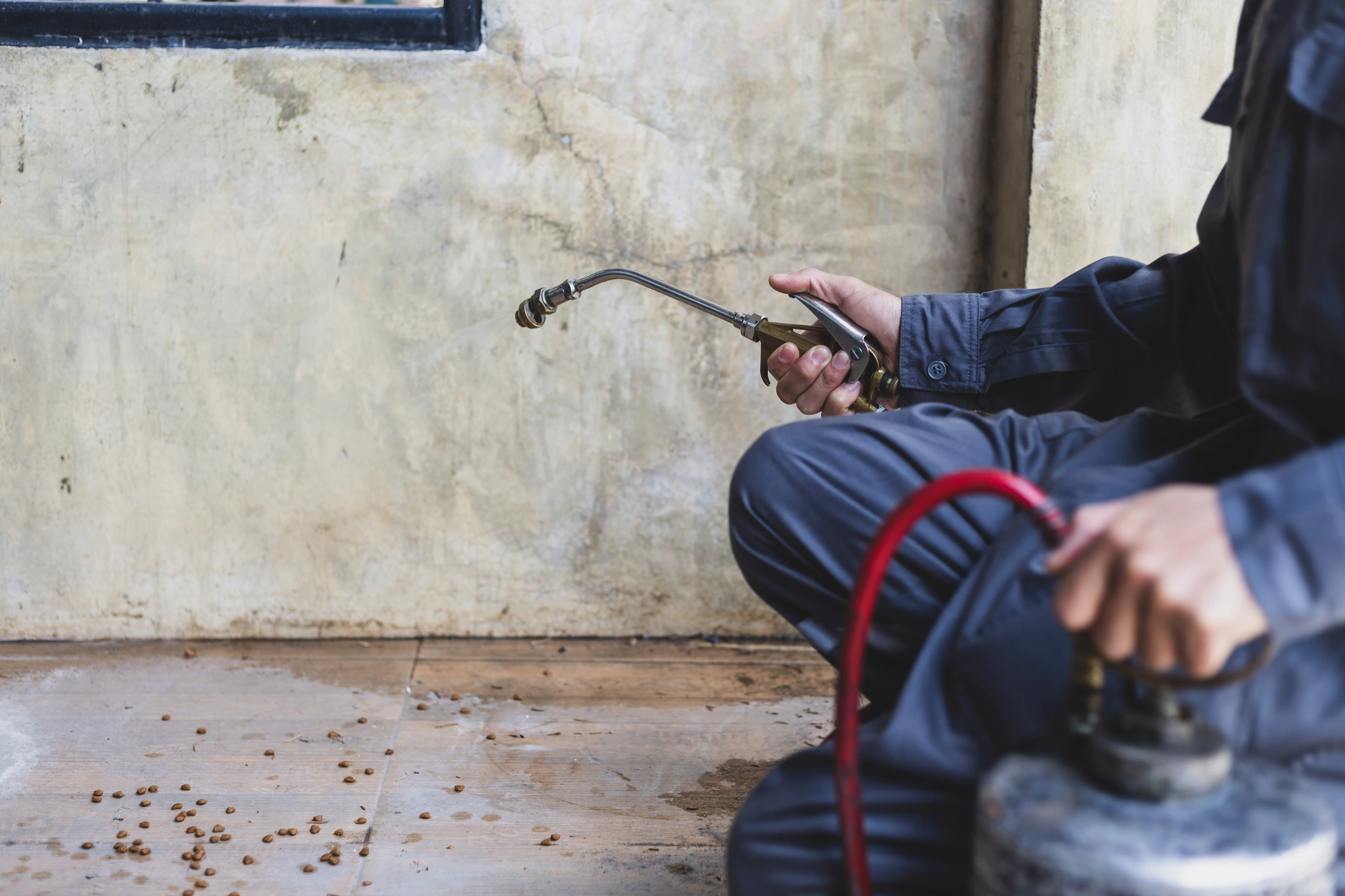A person in a dark uniform kneels on a tiled floor, holding a pesticide sprayer with a long nozzle, next to scattered seeds against a concrete wall.