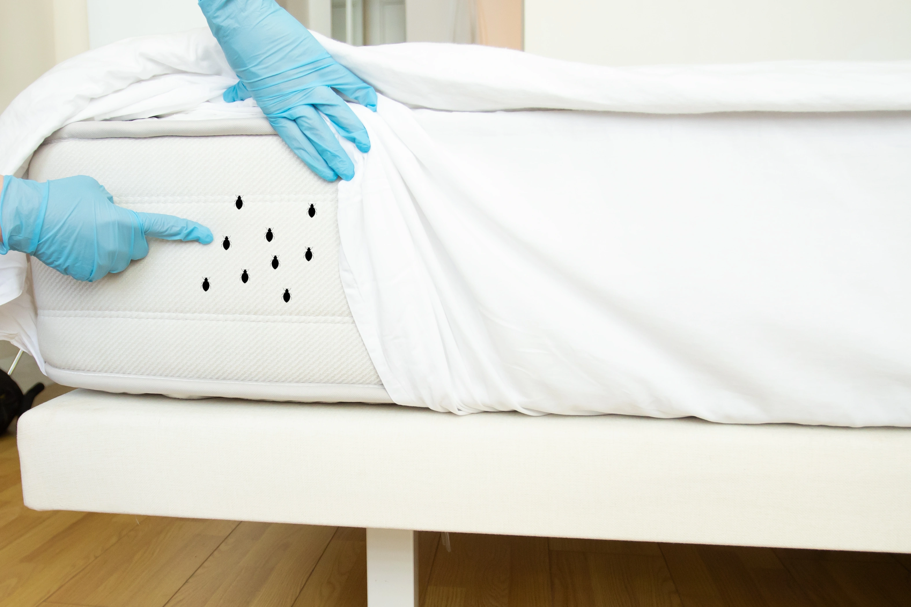 Bed Bug Exterminator in Lufkin, TX