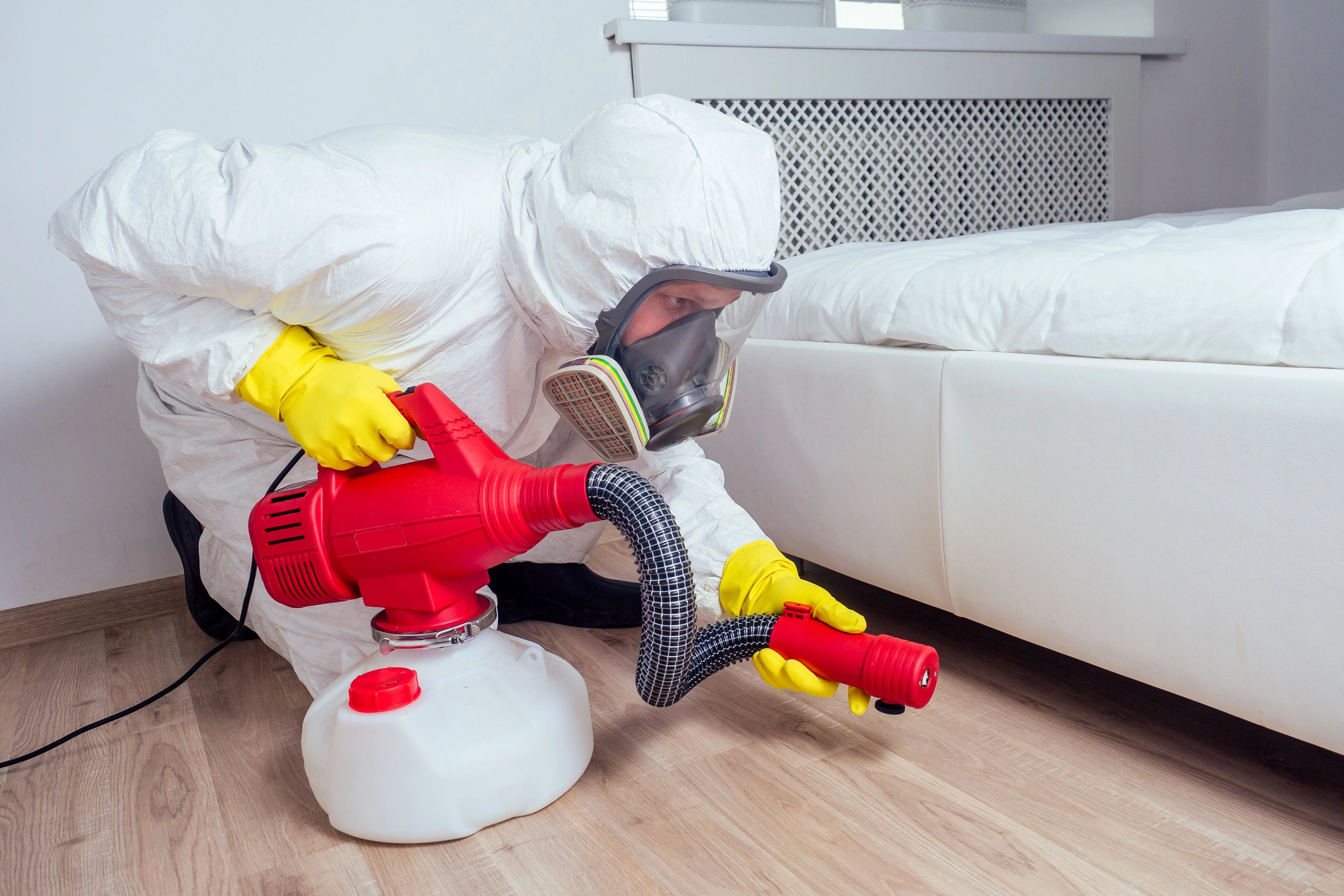 Bed Bug Removal in Lufkin, TX