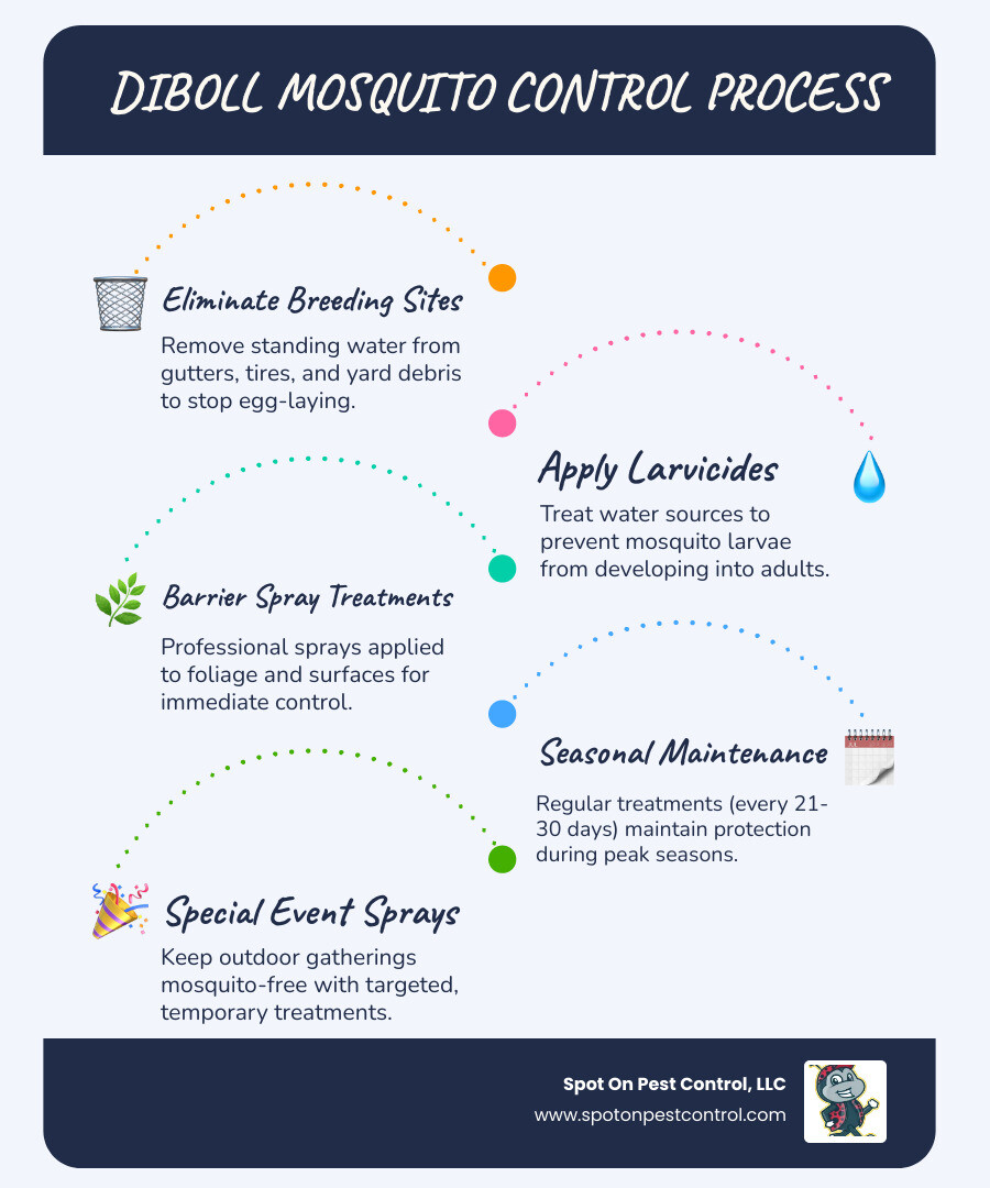 Comprehensive mosquito control process showing breeding site elimination, barrier spray application, and ongoing monitoring for East Texas properties - mosquito control diboll tx infographic infographic-line-5-steps-blues-accent_colors