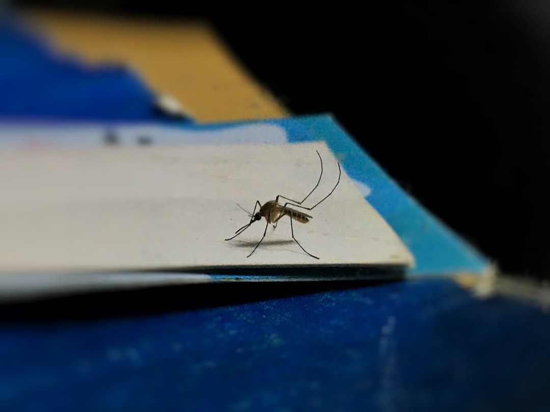 Banish the Bites: Expert Mosquito Control for Livingston Residents