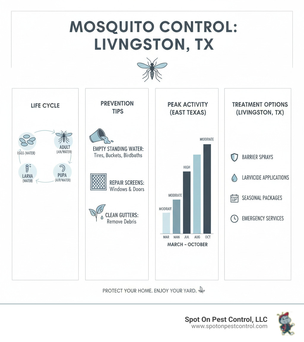 Comprehensive infographic showing mosquito life cycle from egg to adult, breeding prevention tips, peak activity times in East Texas, and professional treatment options available in Livingston TX - mosquito control livingston tx infographic 