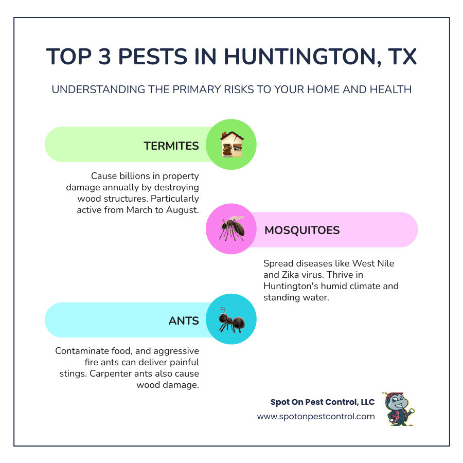 Infographic showing the top 3 most common pests in Huntington TX: Termites causing property damage with wood destruction icons, Mosquitoes spreading diseases with virus symbols, and Ants causing contamination with food contamination warning symbols - pest control huntington tx infographic infographic-line-3-steps-colors Infographic showing the top 3 most common pests in Huntington TX: Termites causing property damage with wood destruction icons, Mosquitoes spreading diseases with virus symbols, and Ants causing contamination with food contamination warning symbols - pest control huntington tx infographic infographic-line-3-steps-colors