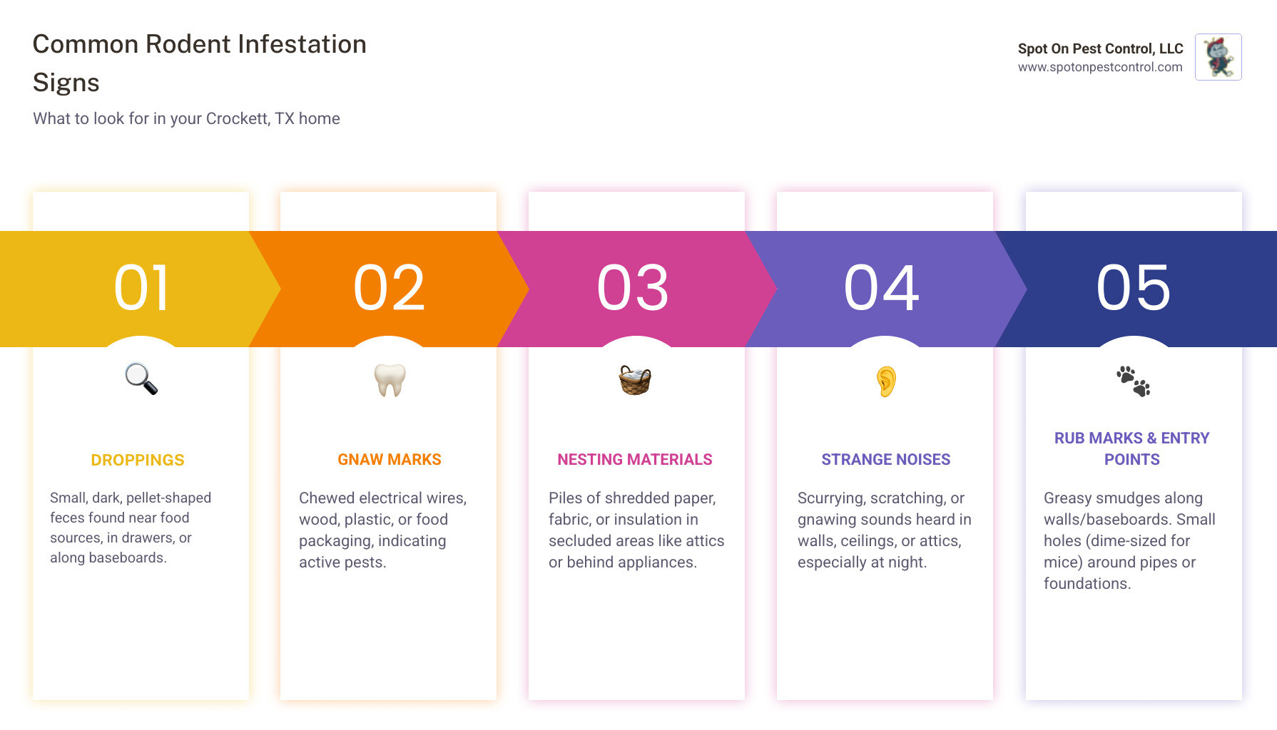 Infographic showing common signs of rodent infestation including droppings, gnaw marks on wires and wood, grease marks along walls, shredded nesting materials, small entry holes, and scratching sounds in walls - I'm dealing with rats and mice in my home in Crockett, TX. What local companies can help? infographic pillar-5-steps