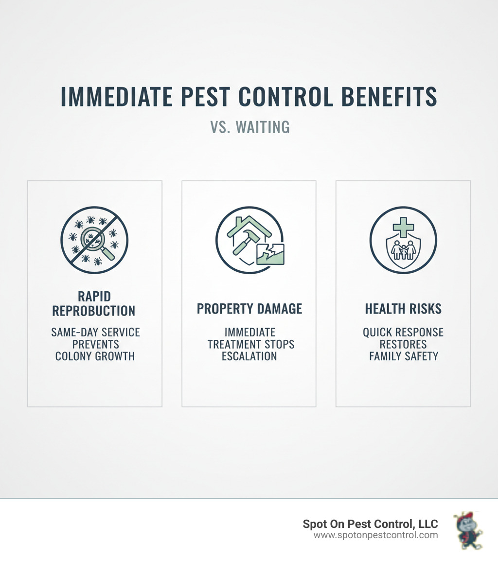 infographic showing three columns comparing immediate pest control benefits versus waiting: column 1 shows same-day service prevents rapid reproduction and colony growth, column 2 shows immediate treatment stops property damage before it escalates, column 3 shows quick response eliminates health risks and restores family safety - same day pest control hudson tx infographic 