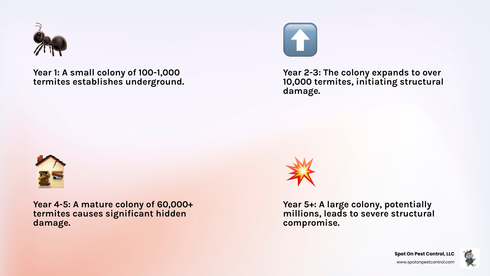 Infographic showing termite colony growth timeline: Year 1 - Small colony establishing underground with 100-1000 termites; Year 2-3 - Colony expands to 10,000+ termites with initial structural damage beginning; Year 4-5 - Mature colony of 60,000+ termites causing significant hidden damage to wood structures; Year 5+ - Large colony potentially reaching millions of termites with severe structural compromise requiring extensive repairs - termite infestation treatment lufkin tx infographic 4_facts_emoji_light-gradient Infographic showing termite colony growth timeline: Year 1 - Small colony establishing underground with 100-1000 termites; Year 2-3 - Colony expands to 10,000+ termites with initial structural damage beginning; Year 4-5 - Mature colony of 60,000+ termites causing significant hidden damage to wood structures; Year 5+ - Large colony potentially reaching millions of termites with severe structural compromise requiring extensive repairs - termite infestation treatment lufkin tx infographic 4_facts_emoji_light-gradient