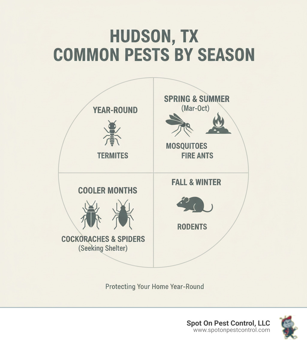 infographic showing common hudson texas pests by season including termites year round, mosquitoes march through october, fire ants spring and summer, rodents fall and winter, and cockroaches and spiders seeking shelter in cooler months - best pest control hudson tx infographic 