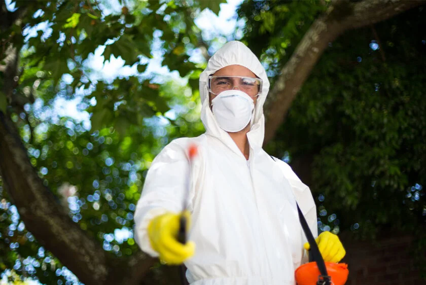 Technician spraying outdoor trees for pests.