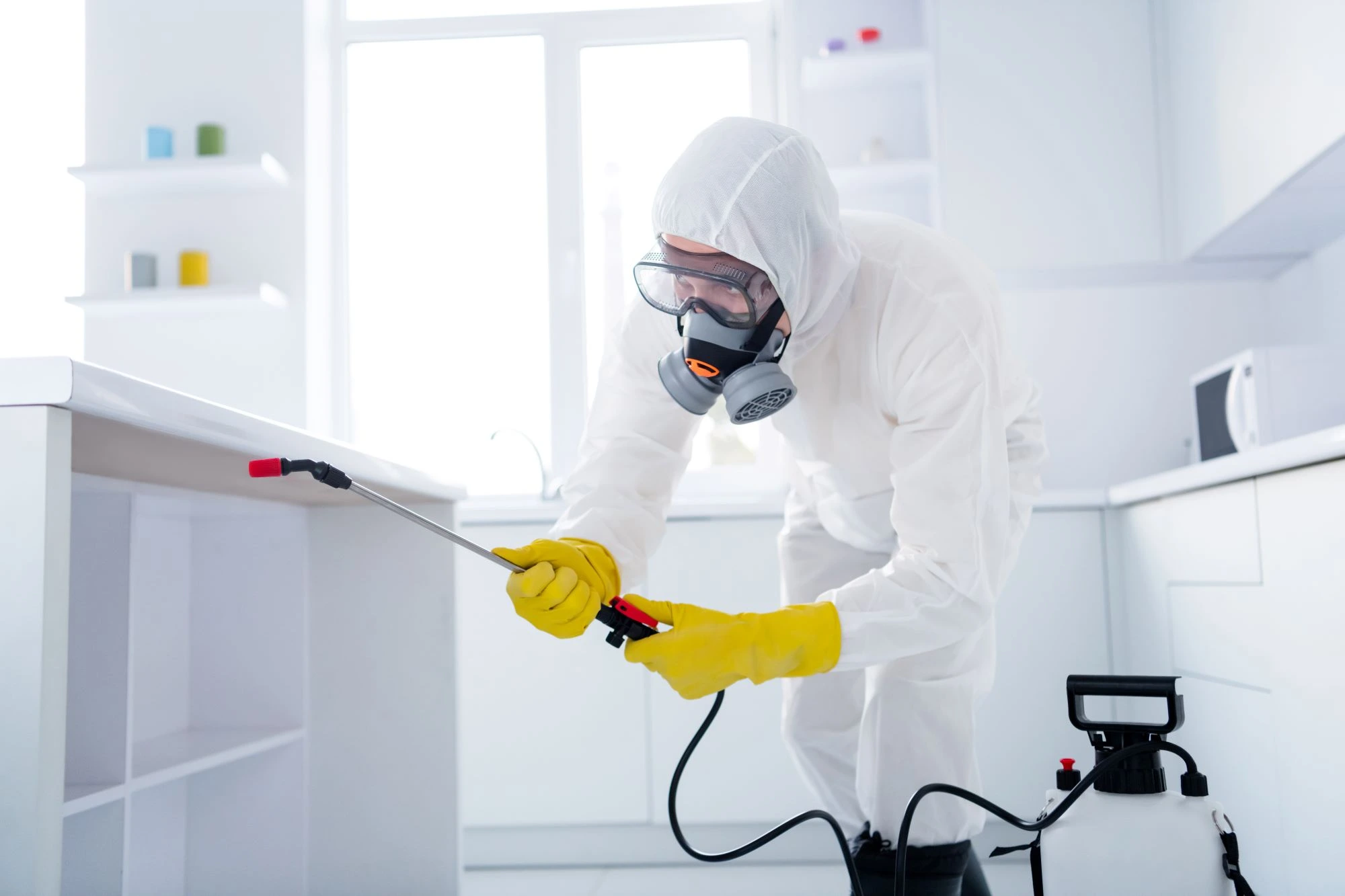 Technician spraying kitchen island for pests.