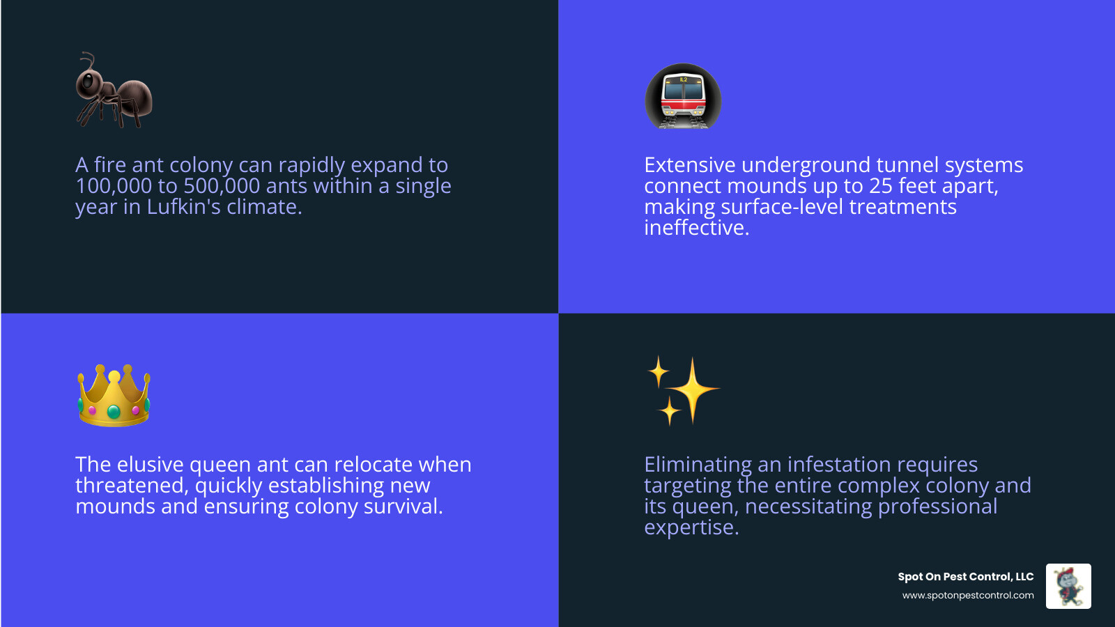 infographic showing fire ant colony structure with queen chamber, worker tunnels, brood chambers, and surface mound, illustrating why professional treatment targeting the entire colony is necessary - fire ant exterminator lufkin tx infographic 4_facts_emoji_blue