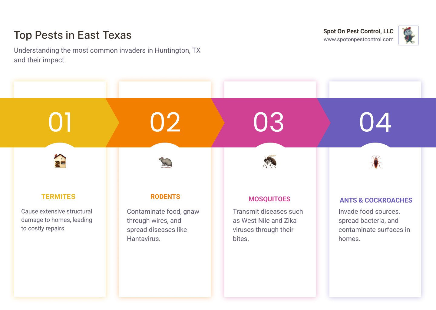 Infographic showing the top 5 most common pests in East Texas: termites causing structural damage, ants invading kitchens, cockroaches spreading bacteria, rodents contaminating food and chewing wires, and mosquitoes transmitting diseases, with icons and brief descriptions of the problems each pest causes - best pest control company in huntington, tx infographic pillar-4-steps
