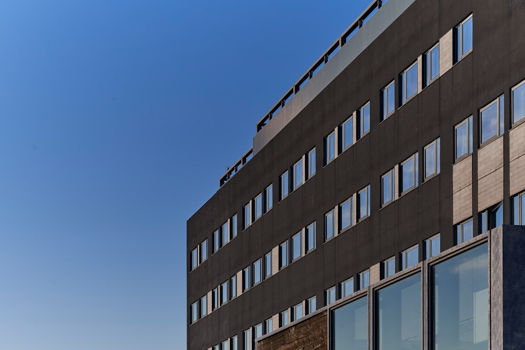 Diboll Businesses: Your Guide to Effective Commercial Termite Treatment