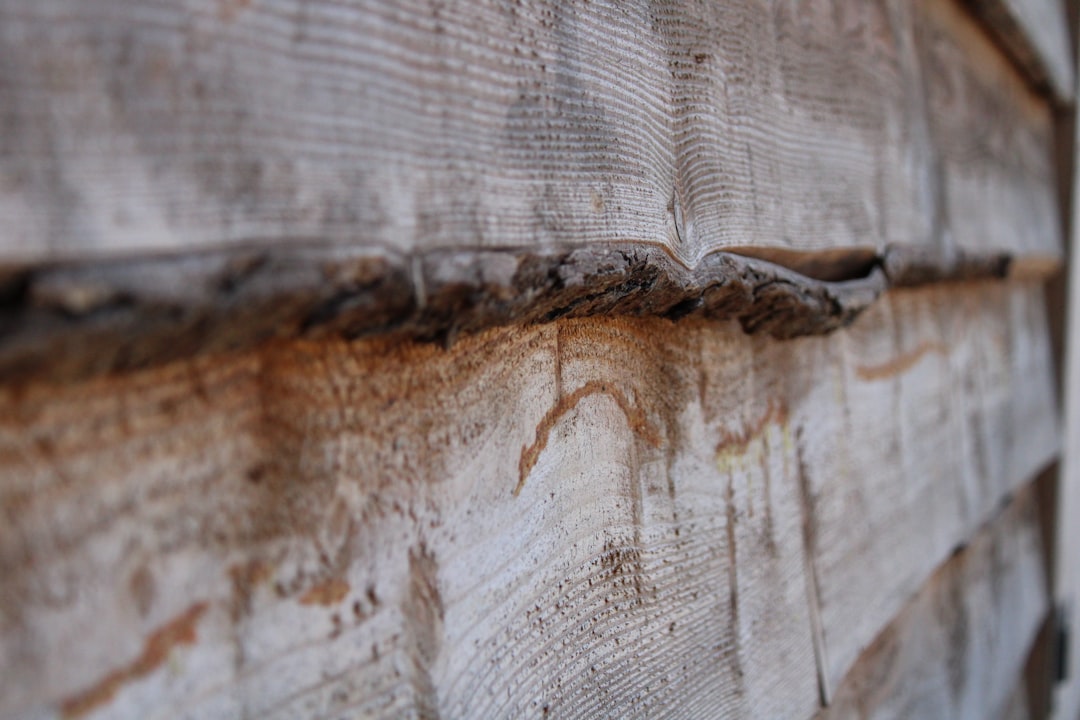 Top 10 Termite Treatments Near Trinity, TX