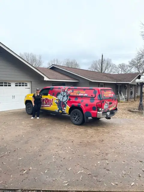 Same Day Relief for Diboll Ant Invasions