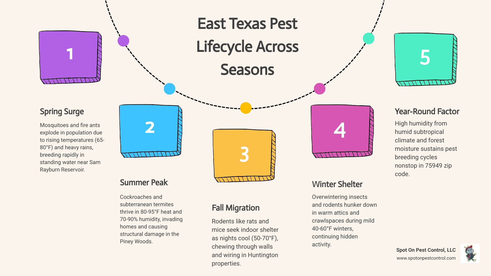 Infographic showing the East Texas pest lifecycle across four seasons: Spring surge of mosquitoes and fire ants, Summer peak activity of cockroaches and termites, Fall indoor migration of rodents and spiders, Winter shelter-seeking by rodents and overwintering insects, with humidity and temperature ranges for each season and icons representing each pest type - professional pest control company in huntington, tx infographic process-5-steps-informal