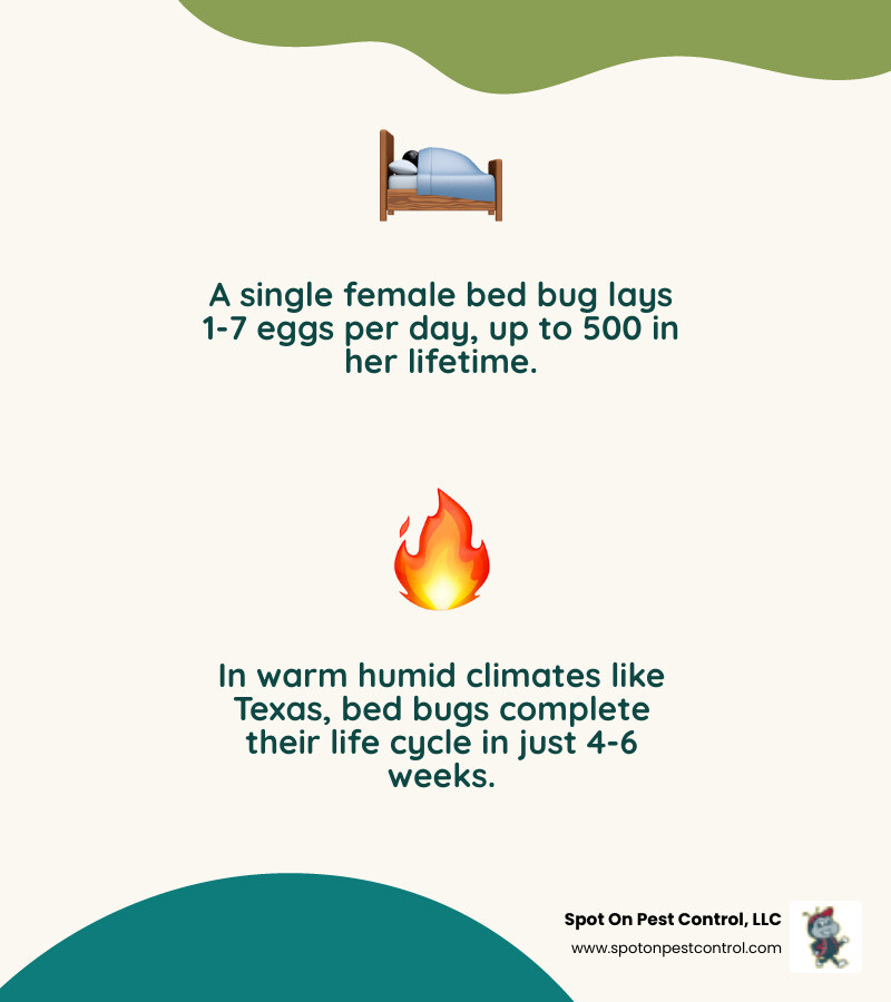 Infographic showing bed bug life cycle, reproduction rates, and emergency removal steps for Redland TX homeowners Infographic showing bed bug life cycle, reproduction rates, and emergency removal steps for Redland TX homeowners