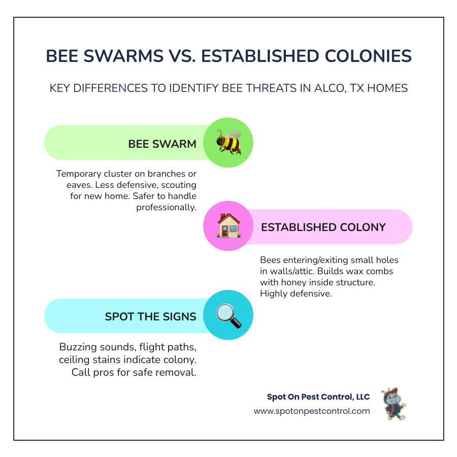 Infographic comparing bee swarms vs established colonies in Alco TX homes - professional bee removal in alco, tx infographic