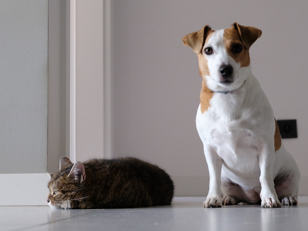 The Parent's Guide to Child Safe and Eco Friendly Pest Control