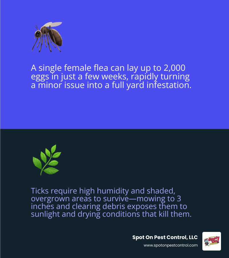 Infographic showing the life cycle of ticks and fleas in residential yards and key prevention steps - how to protect your
